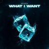 Ad Voca - What I Want
