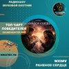 封面 MXIMV - Раненое сердце MXIMV - Раненое сердце