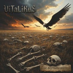 Обкладинка ViTaLiKuS - Поле мёртвыми костями