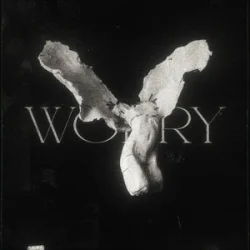 Cover LONOWN & riserayss - worry (Slowed)