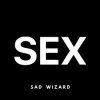 Обкладинка Sad Wizard - SEX Sad Wizard - SEX