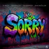 封面 DJ Wout x Jan Vervloet x Pulsedriver - I'm Sorry DJ Wout x Jan Vervloet x Pulsedriver - I'm Sorry