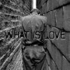 封面 der Flaum - What is love der Flaum - What is love