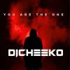 封面 DICHEEKO - White Man Keeps Me Down DICHEEKO - White Man Keeps Me Down