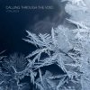 封面 ViTaLiKuS - Calling Through the Void ViTaLiKuS - Calling Through the Void