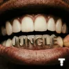 封面 TroyBoi & Shiwa - Jungle TroyBoi & Shiwa - Jungle