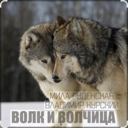 Обкладинка Мила Руденская & Владимир Курский - Волк и волчица