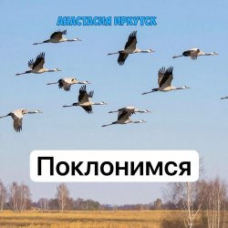 Обкладинка Анастасия Иркутск - Поклонимся