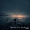 封面 ViTaLiKuS - COLD EUPHORIA (Extended Mix) ViTaLiKuS - COLD EUPHORIA (Extended Mix)