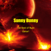 封面 Sunny Bunny - The Best of Ryan Ganar! Sunny Bunny - The Best of Ryan Ganar!