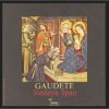 封面 Steeleye Span - Gaudete Steeleye Span - Gaudete