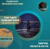 Обкладинка ZAVYAL - Пепел в ночи ZAVYAL - Пепел в ночи