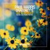 封面 Paul Harris, Dragonette - One Night Lover (Nora En Pure Instrumental Club Mix) Paul Harris, Dragonette - One Night Lover (Nora En Pure Instrumental Club Mix)