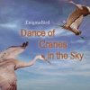 封面 EnigmaBird - Dance of Cranes in the Sky EnigmaBird - Dance of Cranes in the Sky