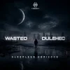 封面 Wasted & Dulehec - Sleepless Horizons Wasted & Dulehec - Sleepless Horizons