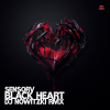 封面 SENSORV - Black Heart (DJ Nowitzki Remix) SENSORV - Black Heart (DJ Nowitzki Remix)