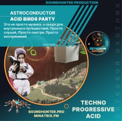 Cover Astroconductor - Acid Birds Party