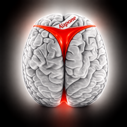 Обкладинка Brains 5 [2019]