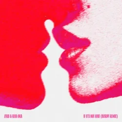 Cover Zerb & Rita Ora - If It’s Not Love (SCRIPT Remix)