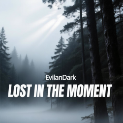 封面 EvilanDark - Lost in the Moment
