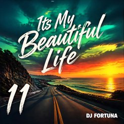 Обкладинка DJ FORTUNA - Its My Beautiful Life 11