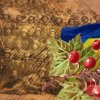 封面 Червона калина - Ой служив же я у пана Червона калина - Ой служив же я у пана