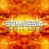 封面 Somnesia - Light Particles (Somnesia Remix) Somnesia - Light Particles (Somnesia Remix)