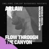 封面 ARLAW - Flow Through The Canyon (VegaZ SL Remix) ARLAW - Flow Through The Canyon (VegaZ SL Remix)