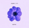 封面 AGAPE - Квітка AGAPE - Квітка