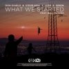 封面 Don Diablo, Steve Aoki & Lush & Simon - What We Started Don Diablo, Steve Aoki & Lush & Simon - What We Started
