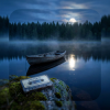 封面 Volteris - Dark Forest Volteris - Dark Forest