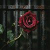 封面 RJ Emerald Fire (Изумрудный огонь) - Prison of Love RJ Emerald Fire (Изумрудный огонь) - Prison of Love
