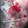 封面 El.Gold - Это наша с тобою химия El.Gold - Это наша с тобою химия