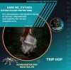 封面 Dark Me, O'Kyara - O'Kyara Calling (Trip Hop Vers) Dark Me, O'Kyara - O'Kyara Calling (Trip Hop Vers)
