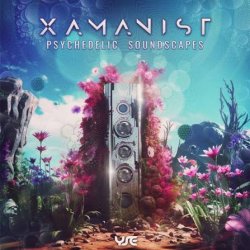 Cover Xamanist - Timeless (Original Mix)