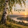 Апро - Берёза