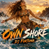 封面 DJ FORTUNA - OWN SHORE DJ FORTUNA - OWN SHORE