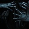 封面 Anima Corpus - Сирена Anima Corpus - Сирена