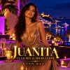 remix Micke Leone - Juanita by Gino Baci