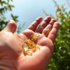 Сергей Видов - Осколки лета