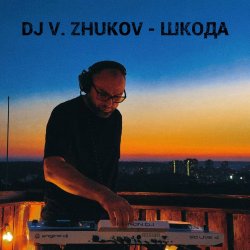封面 Dj Vasya Zhukov - Шкода