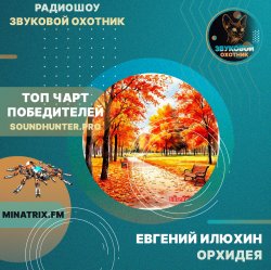 封面 Евгений Илюхин - Орхидея