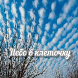 封面 Яна RU - Небо в клеточку