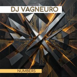 封面 DJ VAGNEURO - NUMBERS