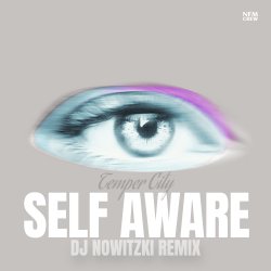 封面 Temper City - Self Aware (DJ Nowitzki Remix)