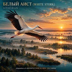 封面 ViTaLiKuS - БЕЛЫЙ АИСТ (WHITE STORK)