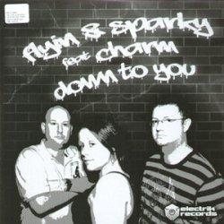 封面 Flyin' & Sparky Feat Charm - Touch Ya Body (Joey Riot Remix)