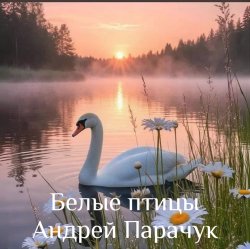 封面 Андрей Парачук - Белые птицы