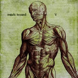 封面 Angels Around - Vesta
