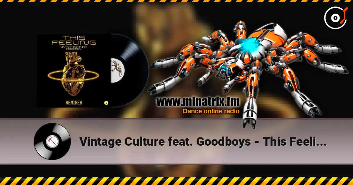 Vintage Culture feat. Goodboys - This Feeling (Velvet Mode And Chris Arna Remix) listen online in high quality | Minatrix.FM